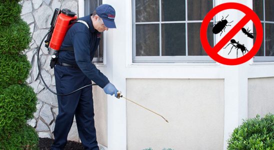 Arnavutköy Kene İlaçlama böcek ilaçlama ve haşere kontrolü — ilaclama-tr.com
